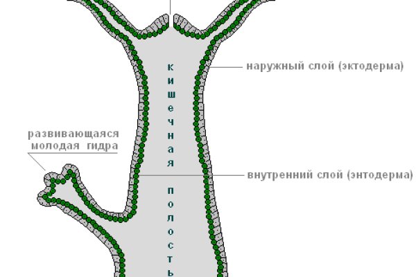 Блэкспрут анион зеркало