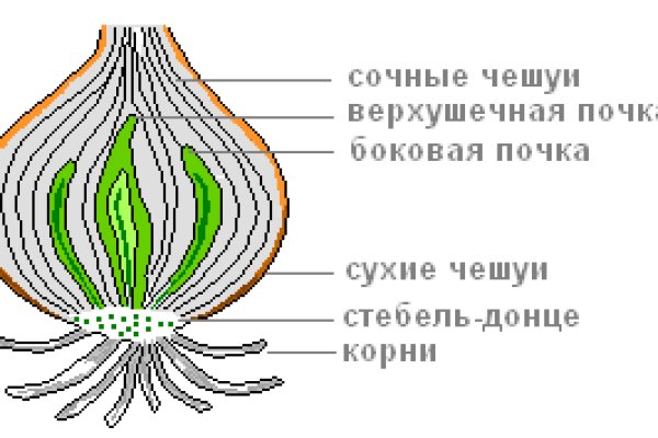 Сайт блэкспрут фейк BlackSprut ssylka onion com